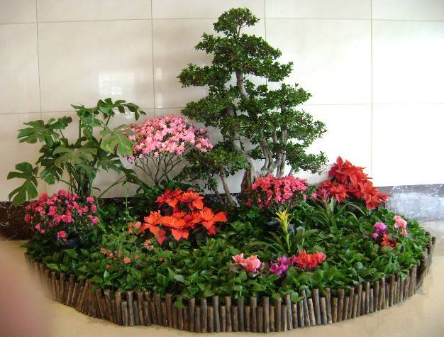 绿植租摆